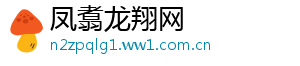 凤翥龙翔网	
